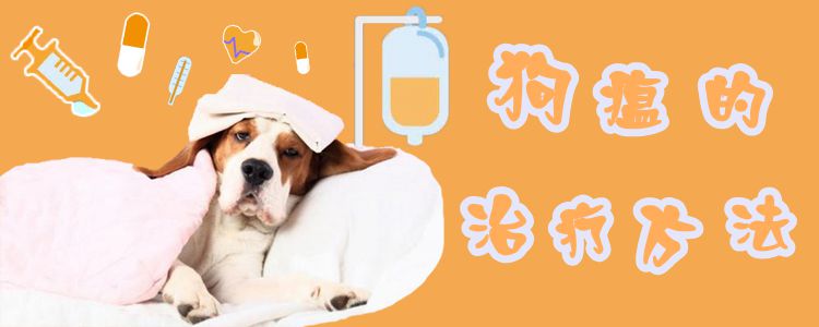 狗瘟的治療方法